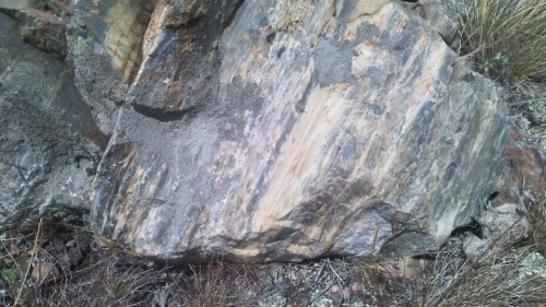 Гигантские зелёные валуны для ландшафтного дизайна весом более 5 тонн купить в Куровском